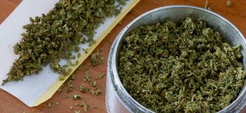 herb-grinders-for-your-daily-needs