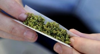 Difference between Joints, Blunts, and Spliffs