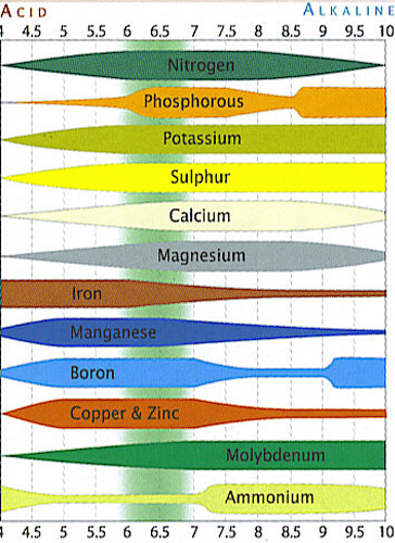 [cml_media_alt id='2601']what is the ph of water test[/cml_media_alt]