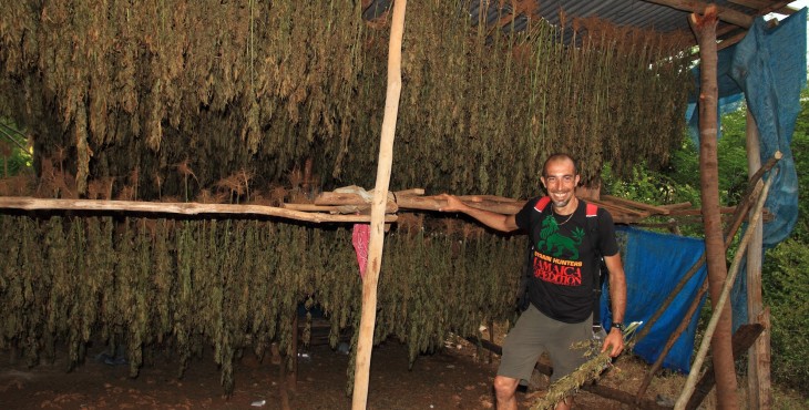 how to dry weed