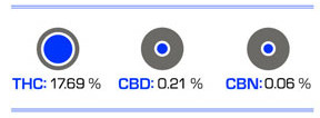 [cml_media_alt id='2942']The Doctor THC[/cml_media_alt]