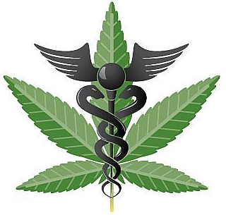 [cml_media_alt id='2948']medical cannabis[/cml_media_alt]