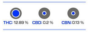 [cml_media_alt id='3573']Arjans Haze 2[/cml_media_alt]