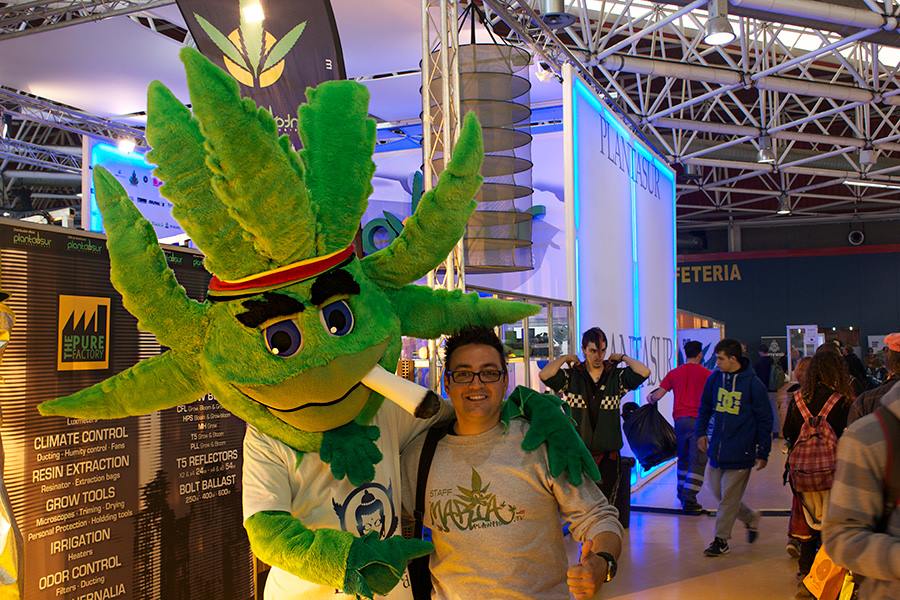 [cml_media_alt id='4041']marihuana spannabis 2015[/cml_media_alt]