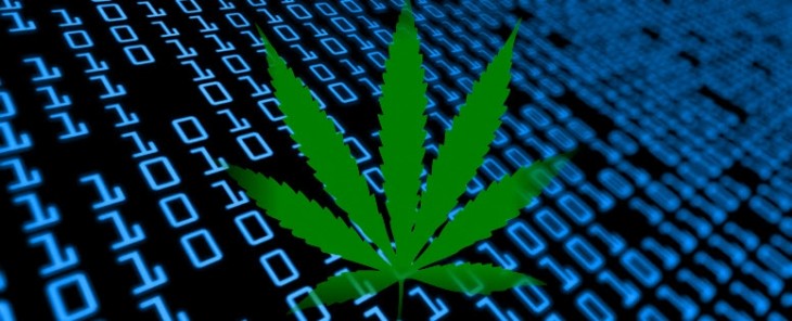 Marijuana and Technology