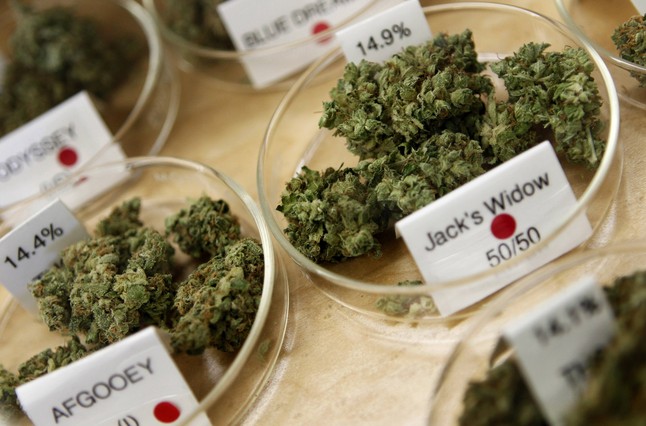 Count on the rise! Medical marijuana rocks the market