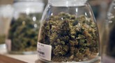 Oregon takes a bold step in allowing retail outlets for marijuana