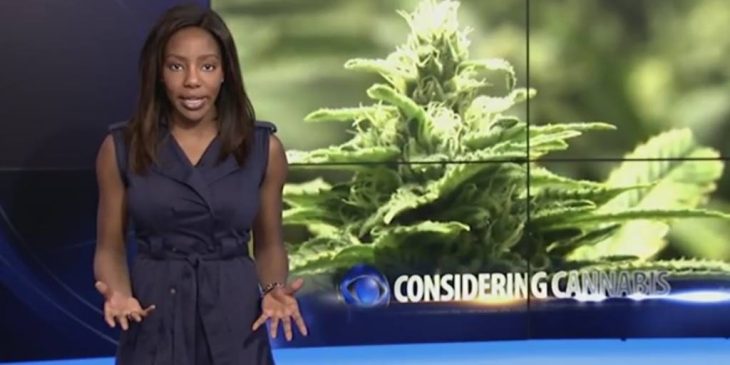 The media always caters to cannabis news