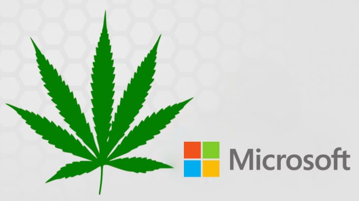 Would you connect Microsoft with Marijuana?