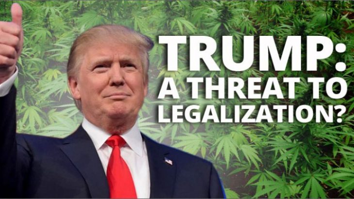 Trump and Cannabis - What Is Gone Be in Next 4 Years in the US?