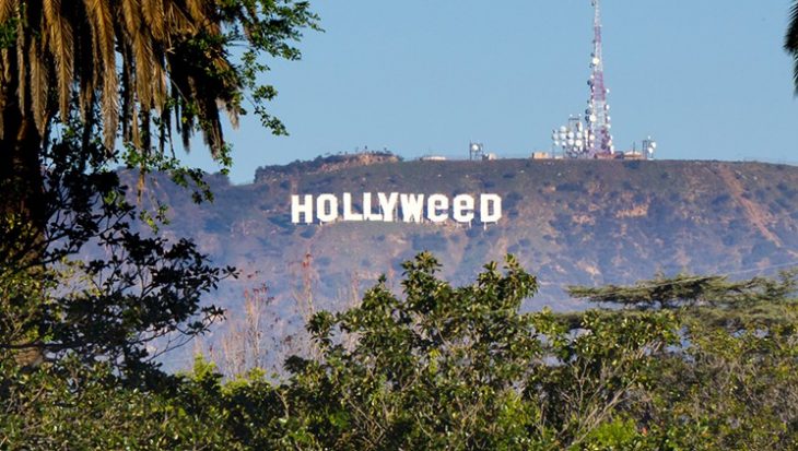 Things You Should Know About Hollywood to Hollyweed