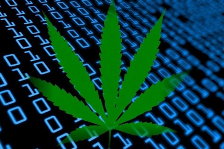 Game-Changing Technology for the Marijuana Industry
