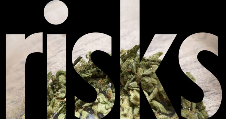 Is Marijuana Worth the Risk?