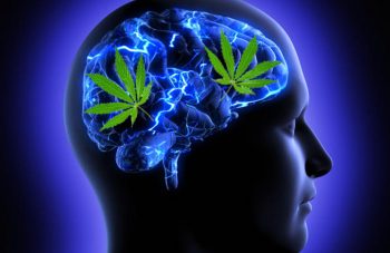 How marijuana benefits mental health