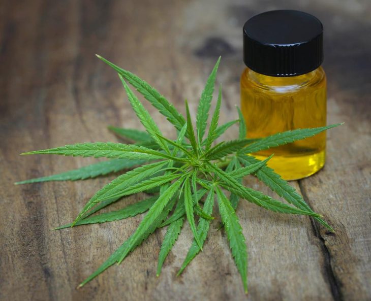 Cannabis Oil Relieves from Chronic Seizures