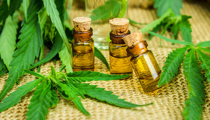 What do you understand from Cannabis Oil?