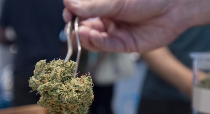 Ohio Starts Training a Budding Medical Cannabis Workforce