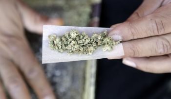 Major Reasons Advocating the Legalization of Medical Marijuana