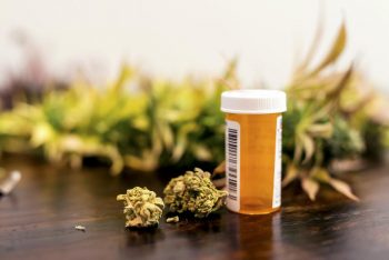 Various Uses of Medical Marijuana in Treating Health Conditions