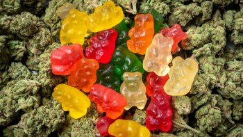 A Guide On How To Make Marijuana Candies At Home